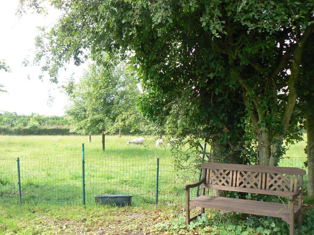 B&B 'T Wit Reigertje Oudenburg Exteriör bild